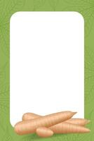 banner frame of cassava fresh, copy space, cassava cut slice for tapioca flour industry or ethanol, pile yucca cassava tuber on frame, raw manioc cassava on a template banner blank vector