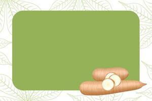 banner frame of cassava fresh for copy space, cassava cut slice for tapioca flour industry or ethanol vector