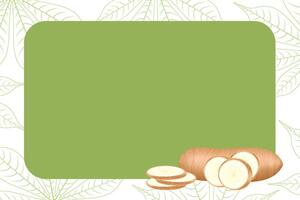 banner frame of cassava fresh, copy space, cassava cut slice for tapioca flour industry or ethanol vector