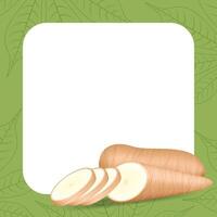 banner frame of cassava fresh for copy space, cassava cut slice for tapioca flour industry or ethanol, pile yucca cassava tuber on frame, raw manioc cassava on template banner green background vector