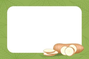 banner frame of cassava fresh for copy space, cassava cut slice for tapioca flour industry and ethanol vector