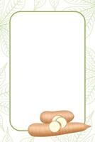 banner frame of a cassava fresh, copy space, cassava cut slice for tapioca flour industry or ethanol, pile yucca cassava tuber on frame, raw manioc cassava on a template banner empty vector