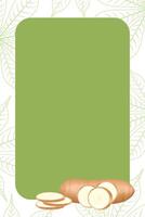 banner frame of cassava nature, copy space, cassava cut slice for tapioca flour industry or ethanol, pile yucca cassava tuber on banner frame vector
