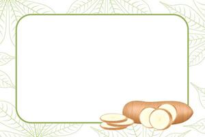 banner frame of cassava fresh, copy space, cassava cut slice for tapioca flour industry or ethanol, pile yucca cassava tuber on frame, raw manioc cassava on template banner empty vector