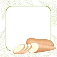 banner frame of a cassava nature, copy space, cassava cut slice for tapioca flour industry or ethanol, pile yucca cassava tuber on frame, raw manioc cassava on template banner empty vector