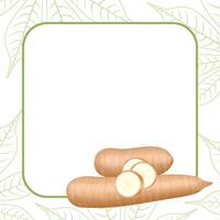 banner frame of cassava fresh for copy space, cassava cut slice for tapioca flour industry or ethanol, pile yucca cassava tuber on a banner frame vector
