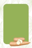 banner frame of cassava blank, copy space, cassava cut slice for tapioca flour industry or ethanol, pile yucca cassava tuber on banner frame vector