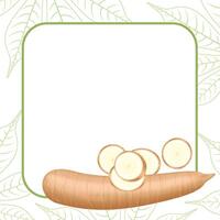 banner frame of a cassava nature, copy space, cassava cut slice for tapioca flour industry or ethanol, pile yucca cassava tuber on frame, raw manioc cassava on a template banner blank vector