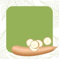 banner frame of cassava, copy space, cassava cut slice for tapioca flour industry or ethanol, pile yucca cassava tuber on frame, raw manioc cassava on template banner empty vector