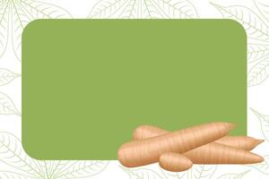banner frame of cassava fresh, cassava cut slice for tapioca flour industry or ethanol, pile yucca cassava tuber on frame vector