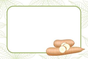 banner frame of cassava fresh for copy space, cassava cut slice for tapioca flour industry or ethanol, pile yucca cassava tuber on frame banner vector