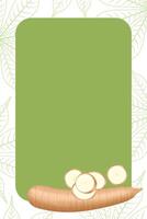 banner frame of cassava nature, copy space, cassava cut slice for tapioca flour industry or ethanol, pile yucca cassava tuber on frame, raw manioc cassava on template banner blank vector