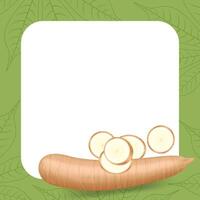 banner frame of cassava fresh, copy space, cassava cut slice for tapioca flour industry or ethanol, pile yucca cassava tuber on frame, raw manioc cassava on a template banner vector