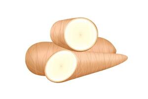 cassava fresh isolated on a white, cassava cut slice for tapioca flour industry or ethanol industry, pile yucca cassava tuber, raw manioc cassava in top view vector