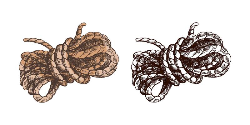 Hand drawn vintage colored and black sketch of coiled rope knot for camping, sailing and western adventure design
