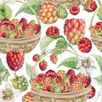 Raspberry with leaves in weaved basket, hand drawn in watercolor. Scattered ripe picked forest garden berry harvest. Isolated seamless pattern. Home preserves, textile linens, food store, packaging vector