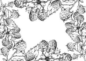 Raspberry frame berries leaves flowers on thorny spiked branch hand drawn in ink. Ripe dewberry mulberry. Isolated border illustration. Home preserves cookbook, grocery store, realistic closeup vector