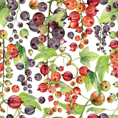 Currant gooseberry cluster bunch raceme with leaves, ripe garden berry casseille jostaberry juneberry, watercolor hand drawn. Isolated seamless pattern. Seasonal menu cover, fabric, eco wrapping paper