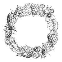Raspberry wreath with flowers berries leaves in dew drops, water splash hand drawn in ink. Ripe garden forest dewberry cloudberry mulberry isolated circle frame. Fresh grocery drinks, preserves vector