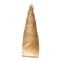 watercolor Single bamboo shoot with layered husk and pointed tip on a plain setting for a nature theme on transparent background png