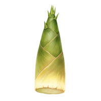 A watercolor single bamboo shoot with layers of leaves and a pointed top on a plain surrounding area on transparent background png