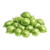 A watercolor pile of fresh green peas pods and shelled peas arranged together in a close up isolated shot on transparent background png