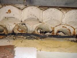 swallow birds nest in rousillon provence france photo