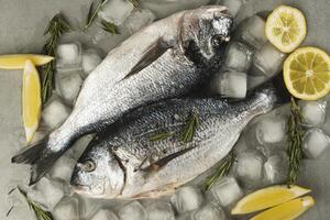 parte superior ver de Fresco dorado pescado con limón, Romero y especias en en gris mesa con hielo, cerca arriba. foto
