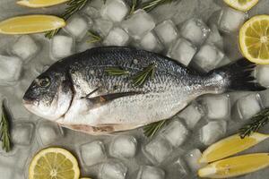 Fresco dorado pescado con limón, Romero y especias en en gris mesa con hielo, cerca arriba. parte superior esposas foto