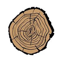 Cross section of a tree trunk. Tree rings. illustration. vector