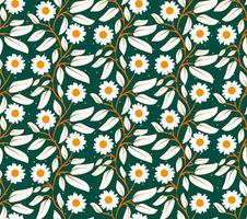 White daisies with yellow centers create a seamless pattern vector