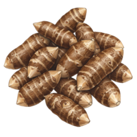 A watercolor pile of taro roots with brown and beige stripes stacked on top of each other in a central arrangement on transparent background png