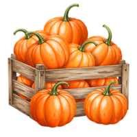A watercolor wooden crate filled with many vibrant orange pumpkins and some pumpkins outside the crate too on transparent background png