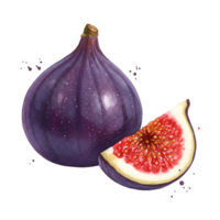 A single whole fig and a slice of fig showing the red interior on a plain color isolation background on transparent background png