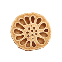 A watercolor single lotus root slice showing its unique pattern on a solid color isolated canvas view from the top on transparent background png