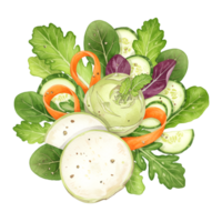 watercolor Composition of fresh salad with greens mozzarella cucumber carrots and kohlrabi on a plain setting on transparent background png