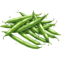 A pile of fresh green beans arranged randomly on a plain surface in a studio setting view top on transparent background png