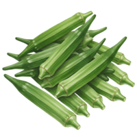 A watercolor pile of fresh okra pods stacked together showing their ridges and pointed ends on a solid plane on transparent background png