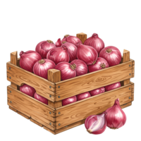 A watercolor wooden crate filled with many red onions and one sliced onion near the crate on a transparent area on transparent background png