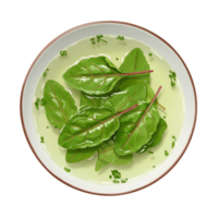 watercolor Aerial view of a white bowl filled with green leaves and a light green broth like liquid substance on transparent background png