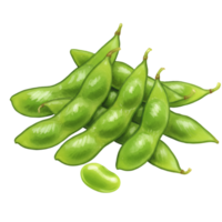 A watercolor pile of fresh edamame pods and one loose bean on a plain surface, ready to be enjoyed as a snack on transparent background png