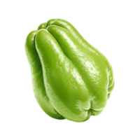 watercolor Close up view of a single light green chayote squash with ridges on a solid color plane surface area on transparent background png