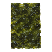 A watercolor single sheet of dried seaweed with a textured surface and a slightly translucent appearance overall on transparent background png