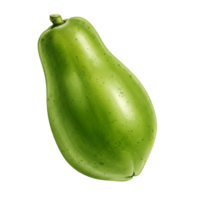 A watercolor single unripe papaya fruit with a smooth surface and a stem on a plain solid color space around it on transparent background png