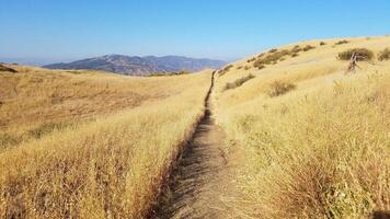 Hiking Trail Surrounded by Golden Fields at O'Melveny Park in Los Angeles, CA photo