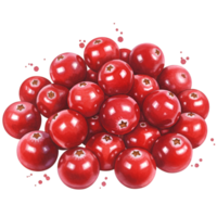 A vibrant pile of fresh cranberries with a smooth texture and isolated against a plain background view on transparent background png