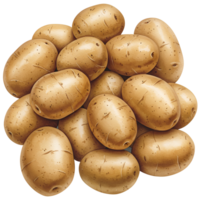 A watercolor group of tan potatoes piled together in a close arrangement on a plain simple surface view from above on transparent background png