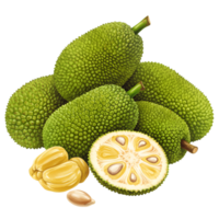 A watercolor collection of jackfruit with one sliced open showing the seeds and pulp on a plain setting area on transparent background png