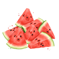 A delightful arrangement of watermelon slices creating a refreshing and vibrant summer treat display image on transparent background png