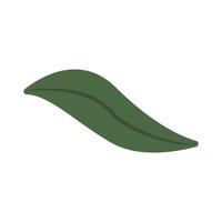 leaf 2 illustration for spring and summer element vector